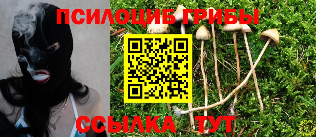 Галлюциногенные грибы Cubensis Ярцево